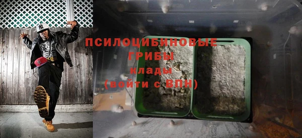 винт Аркадак