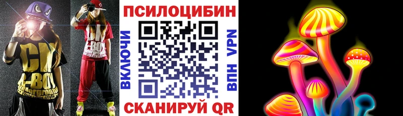 Псилоцибиновые грибы прущие грибы Александровск-Сахалинский
